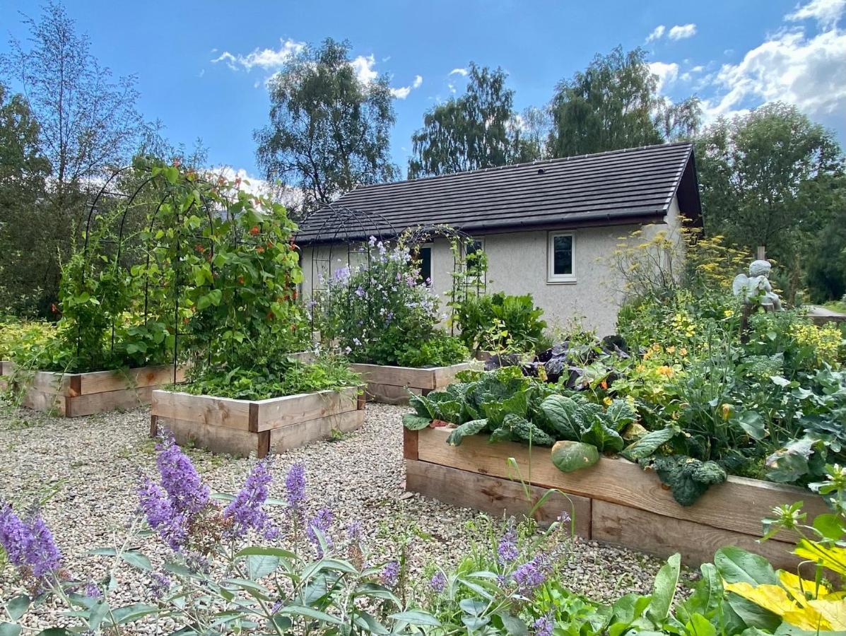Homestead Cottage, 포트오거스타 외부 사진