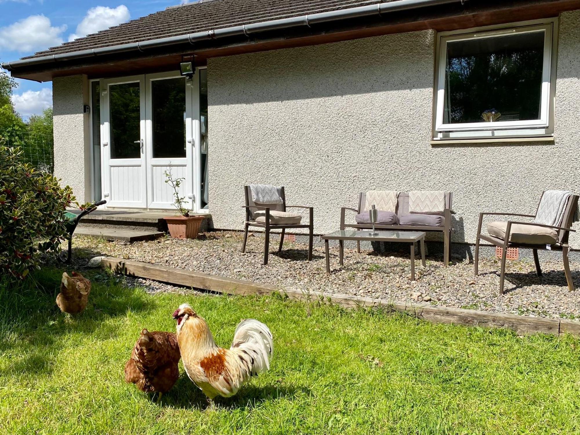 Homestead Cottage, 포트오거스타 외부 사진